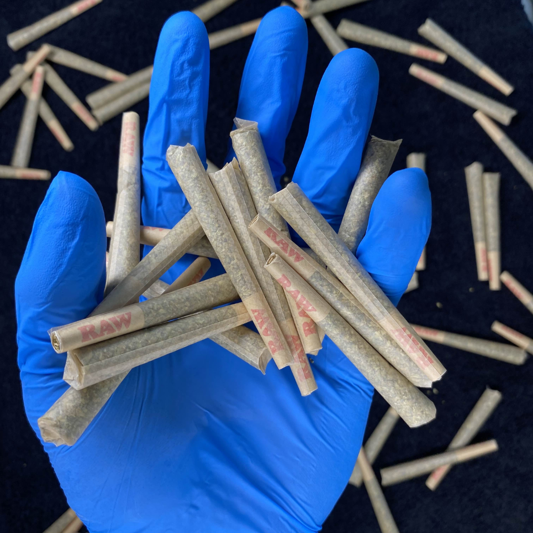 Banana OG Preroll (1g)